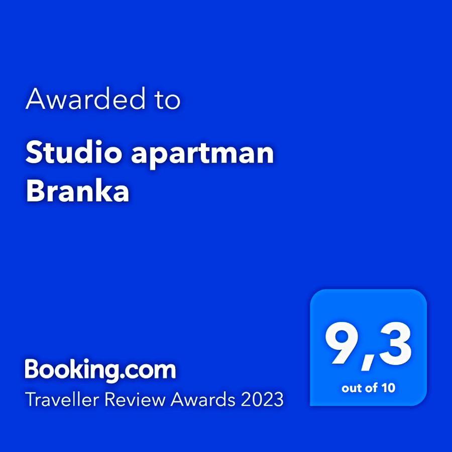 Studio Apartman Branka Labin  Extérieur photo